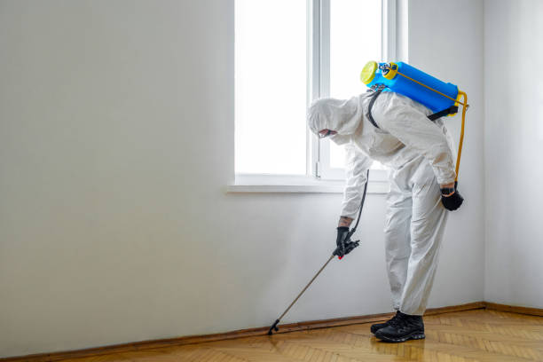 Emergency Pest Control in Irvington, NY